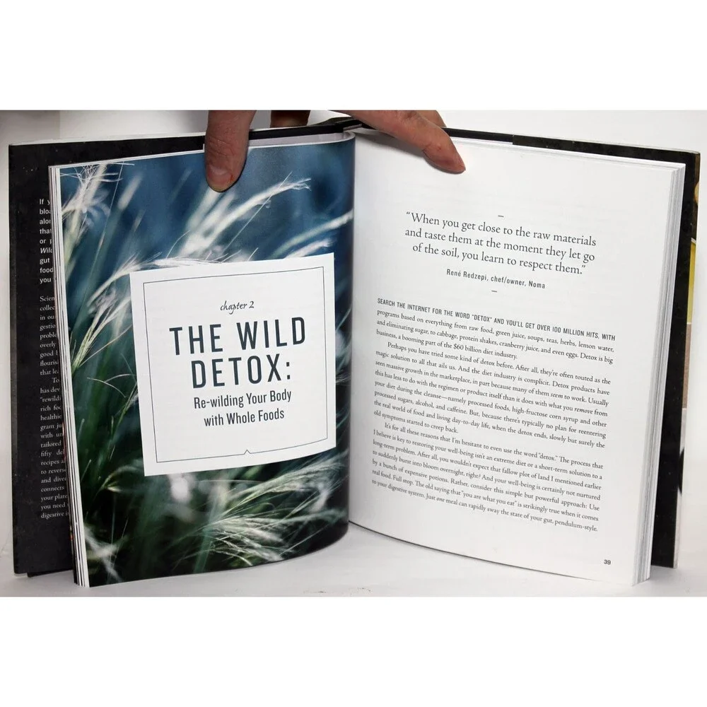 WILD MEDITERRANEAN New Plan for Healthy Gut, Stella Metsovas 2017 HC/DJ Cookbook